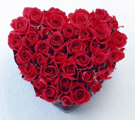 Red Roses Heart