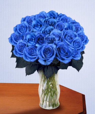 Blue Roses